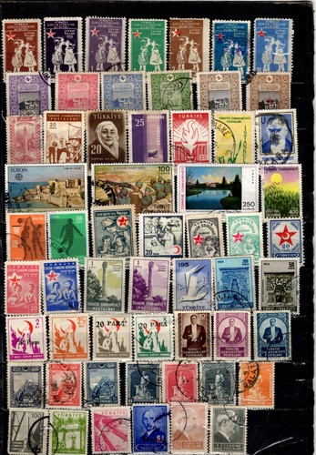 Turkey collection builder of - ,