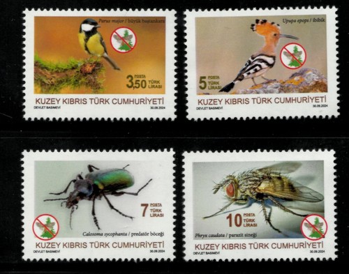 Birds and insects turkish - birds,