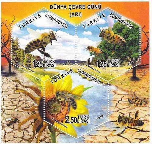 Turkey 2014 world - /,